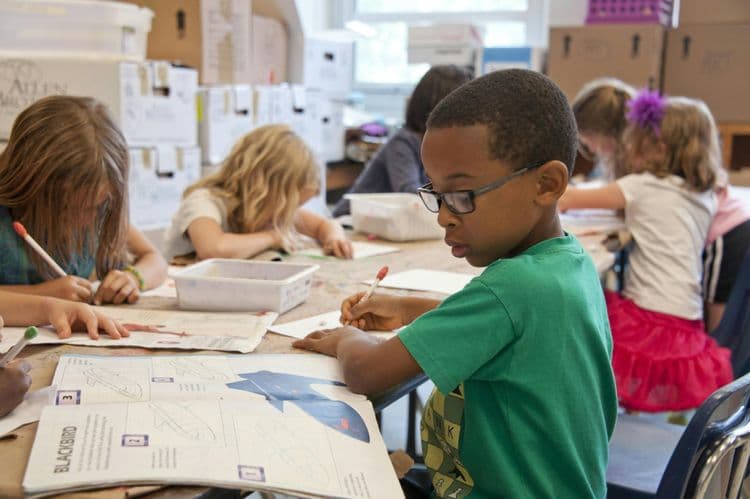$2.6M Coverage Suit Over Bronx School Collapse Paused